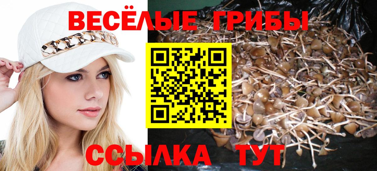 Галлюциногенные грибы Psilocybe Серпухов